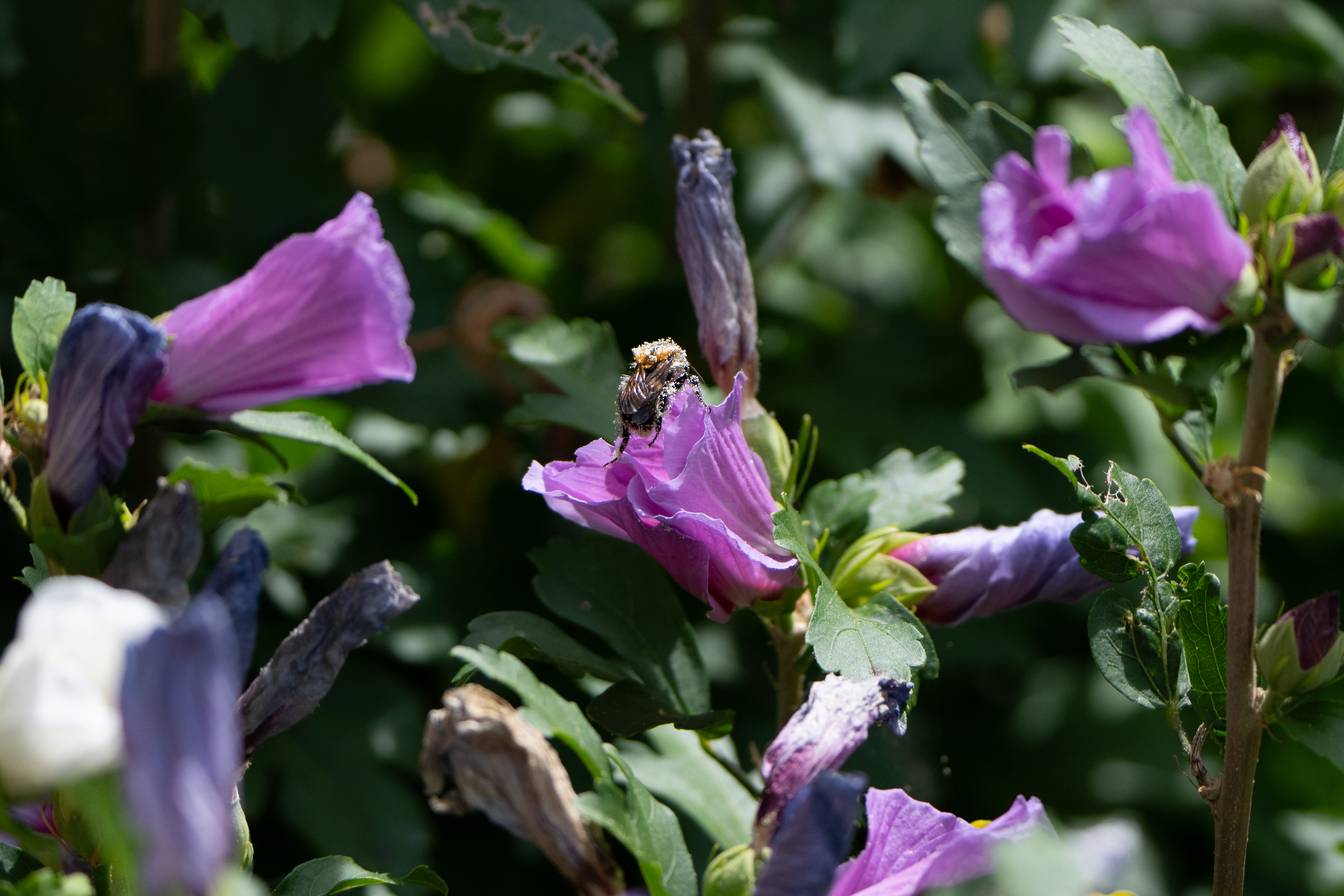 Bilder aus der Kategorie Landscape